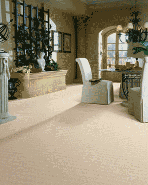 Berber & Loop Carpet